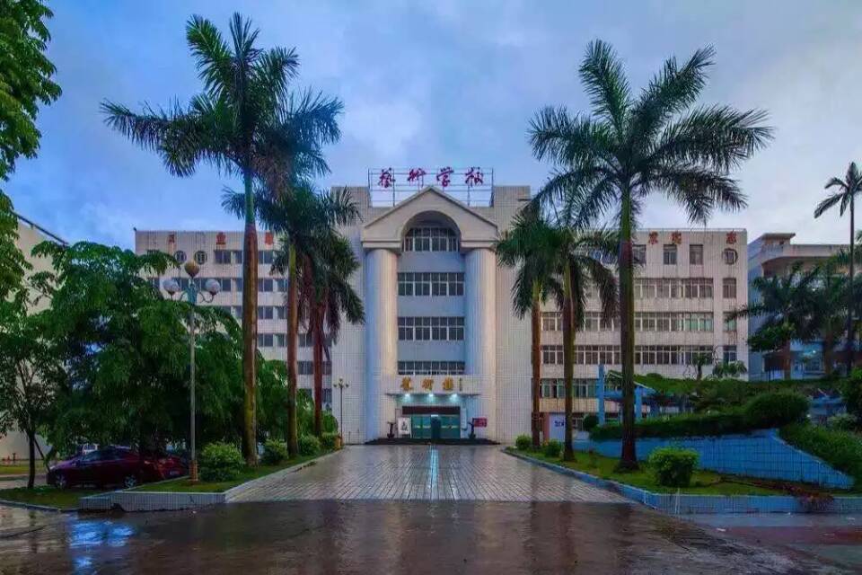 广东湛江艺术学校 - 广州市晨旭教育评估有限公司